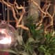 thanksgiving-centerpieces-using-succulents-and-other-drought-resistant-plants