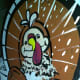 This turkey is the subject of a series I called "How to Groom a Turkey."
