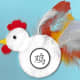 Shapes rooster—real feathers added