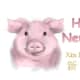 printable-greeting-cards-for-year-of-the-pig-kid-crafts-for-chinese-new-year
