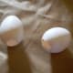 Empty and dry eggshells.