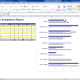 Microsoft Excel Report