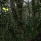 predator-1987-a-thrill-of-the-hunt-movie-review