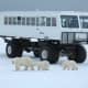 Polar Bear Tours, Churchill, Manitoba