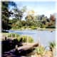 The Japanese Garden - St. Louis Botanical Gardens