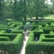 The maze at the St. Louis botanical gardens