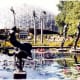 Sculptures and water lilies in reflection pool near the Climatron in Missouri Botanical Garden