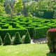 The hedge maze at VanDusen Botanical Garden
