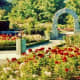 Rose Garden at VanDusen Botanical Garden