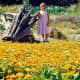 My niece standing in the VanDusen Botanical Garden