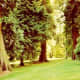Beautiful Stanley Park in Vancouver