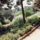 Lots of green garden spaces in this 37-acre Güell park