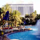 Dolphin show at the Mirage