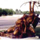 Sculptures outside the art gallery