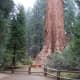travel-the-usa-in-an-rv-from-la-via-sequoia-yosemite-lake-tajoe-ketchum-and-sun-valley-to-yellowstone-national-park