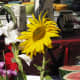 Flowers, fruit and ceramics