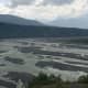 Braided River