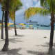 The beautiful Norwegian Epic framed by palm trees on the beach in St. Maarten in the Caribbean.