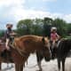 Riding Stables