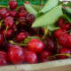 Cherries are popular fruit trees to grow, as are figs, oranges, lemons and apples, to name a few.