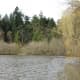 Lost Lagoon is interesting at any time of year.