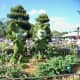Mickey & Minnie Topiary