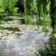 Monet's Japanese water garden features willows, water lilies, and a grove of bamboo. There are also small bridges and a Japanese bridge.