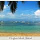 Panglao Island, Bohol boasts some of the best diving spots in the Philippines, with about 250 different species of crustaceans and 2,500 species of mollusks.