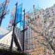 The hotel and the cathedral