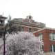 St. Paul's Hospital and cherry blossoms