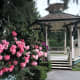 The bandstand and rhododendrons