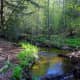 Picture Rocks National Lakeshore