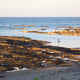 The rock pools of North Beadnell