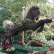Sage on the trailer (The appearance of the horses changes each year.)