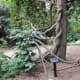 the-ubc-botanical-garden-in-vancouver-british-columbia