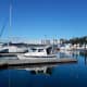 Our dog, Lindy, enjoying the view from the dock beside our 16' C-Dory, See-Saw, in beautiful Friday Harbor Marina.