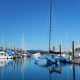 Many fascinating boats will likely be docked in the Friday Harbor Marina, including large yachts, cabin cruisers, and perhaps even a brilliant blue catamaran.
