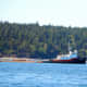 A towboat pulling a raft of logs near Lopez island.