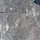 mistaken-point-ecological-reserve-the-oldest-creatures-on-earth-preserved-on-canadas-east-coast