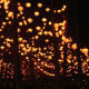 Lanterns in the Parc de la T&ecirc;te d'Or