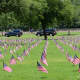 Flags on July 4th at the Houston National Cemetery