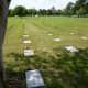 Grave Markers at Houston National Cemetery