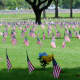 Flags on July 4th at the Houston National Cemetery