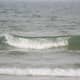 Surf
