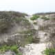 Trail through the dunes