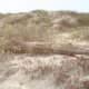 Dunes