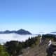 View from above the clouds along the Hurricane Hill Trail at Olympic National Park