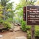 Sign Post of Old Rag Mountain Summit in Shenandoah National Park