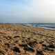 Sandbridge Beach