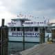 Rudee Dolphin Cruises in Virginia Beach